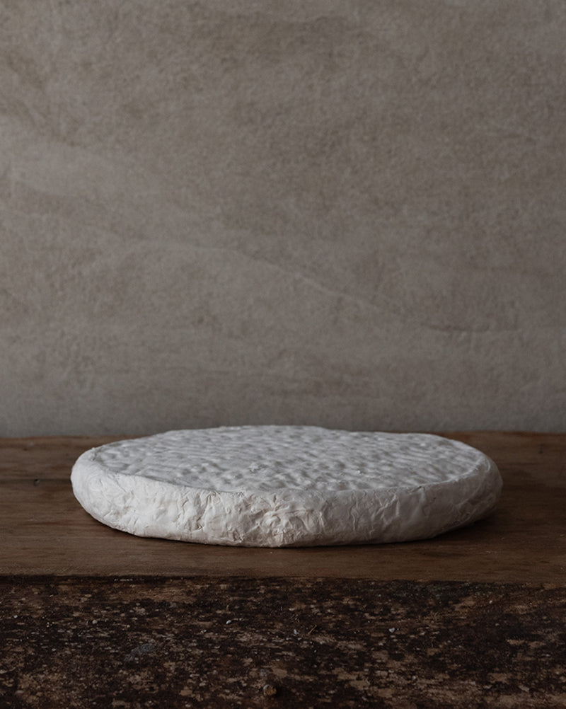 BRIE ARTESANAL POR HORMA