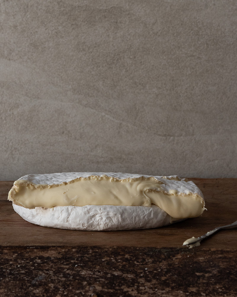 BRIE ARTESANAL POR HORMA