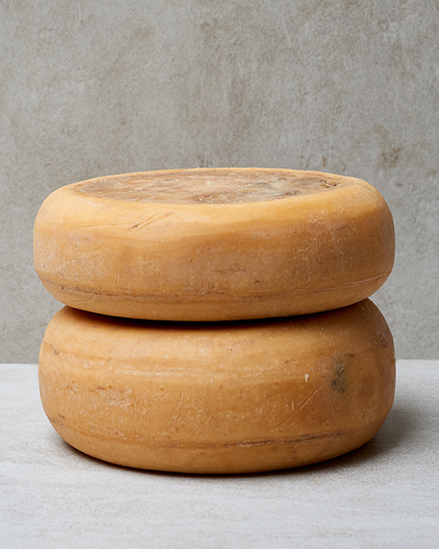 GOUDA LOS TOLDOS WHEEL