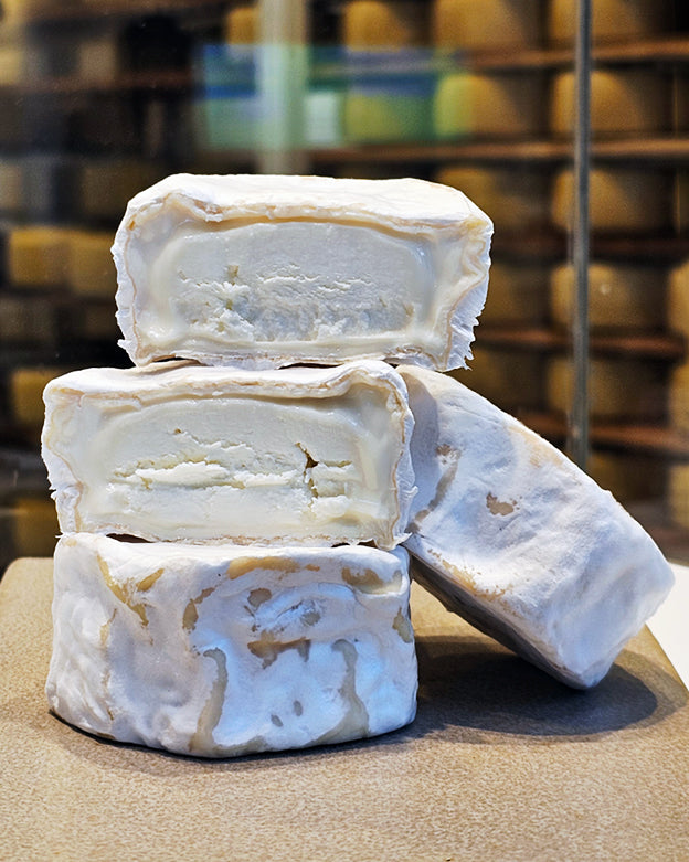 PETIT CHEVRE - INTENSO