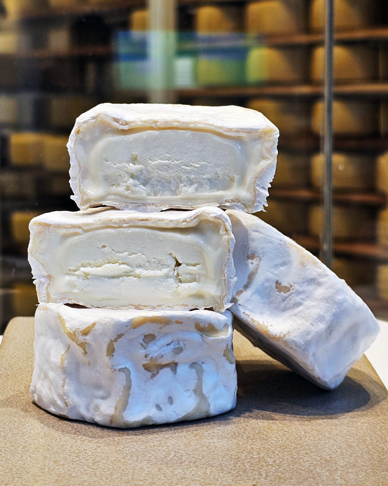 PETIT CHEVRE - INTENSO