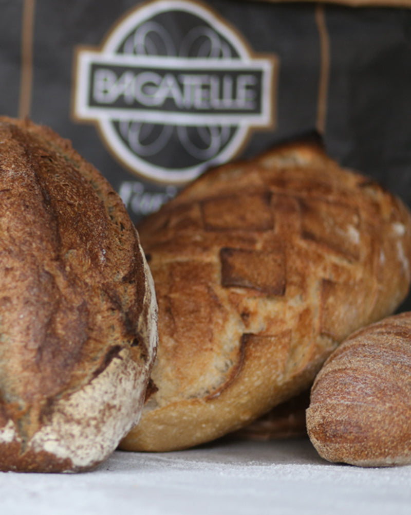 PAN DE MASA MADRE ( aprox 450 gr)