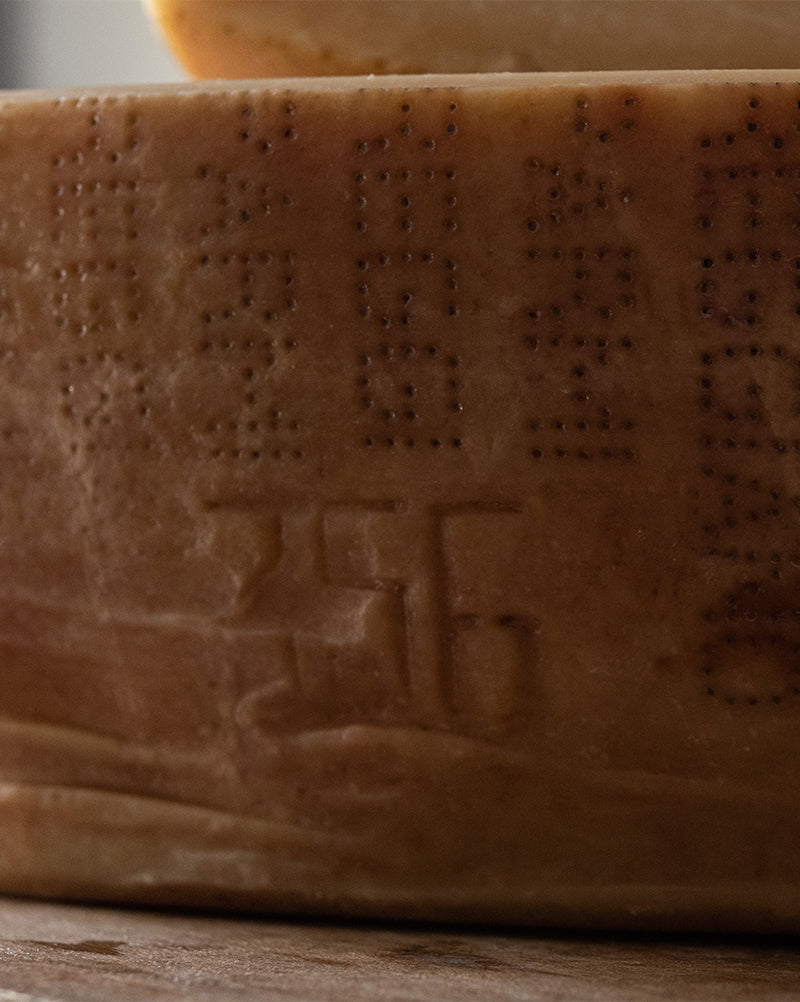 PARMIGIANO REGGIANO DOP