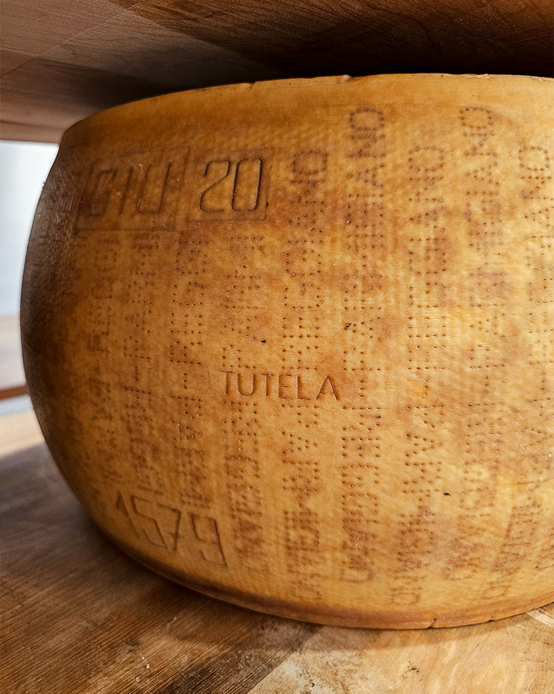 PARMIGIANO REGGIANO D.O.P. 2020