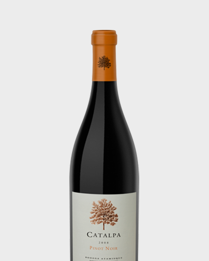 CATALPA PINOT NOIR